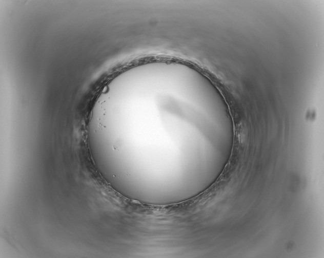 X0000093581495200710291050