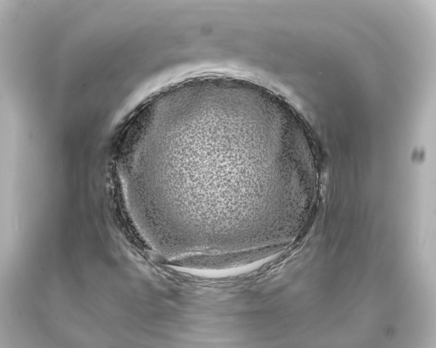 X0000093581496200710291050