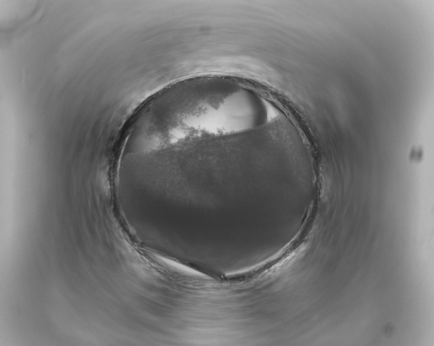 X0000093581497200710291050