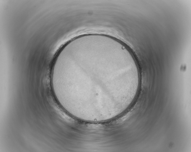 X0000093581498200710291050