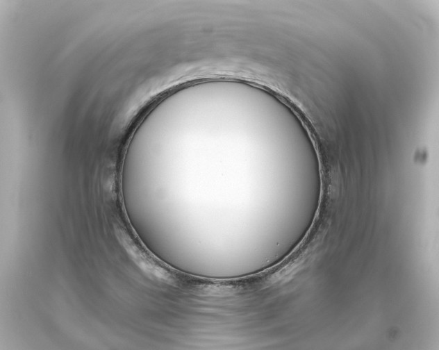 X0000093581499200710291050