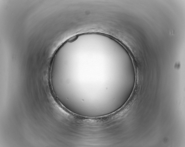 X0000093581500200710291050