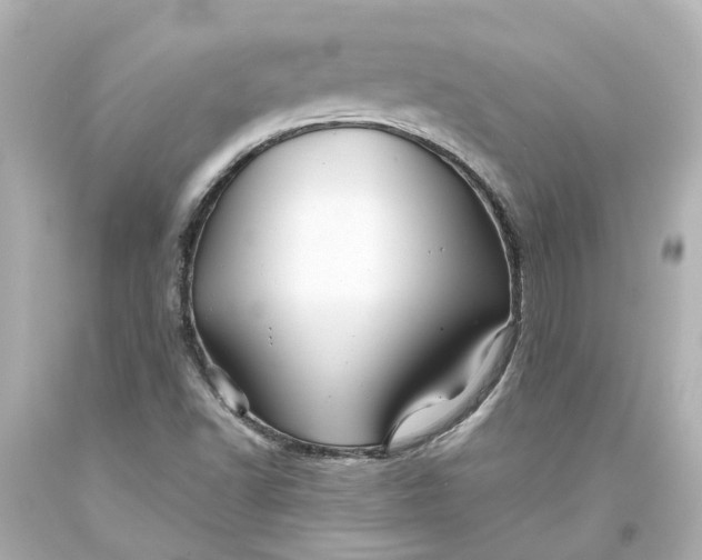 X0000093581502200710291050