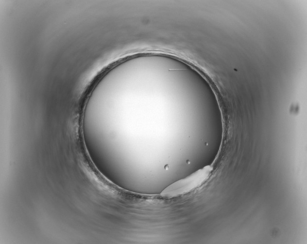 X0000093581503200710291050
