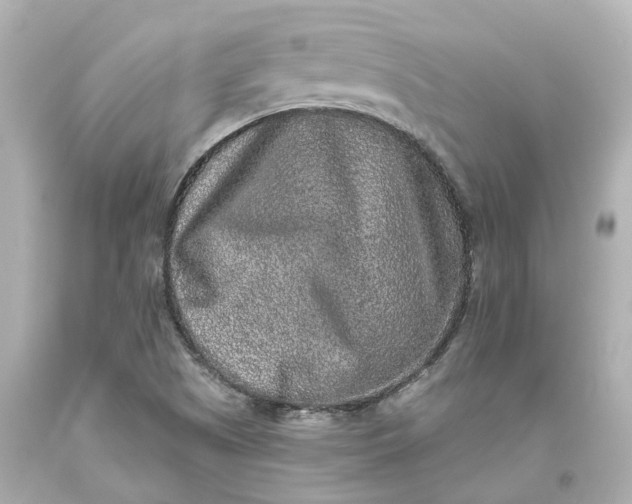 X0000093581505200710291050