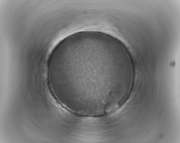 X0000093581506200710291050