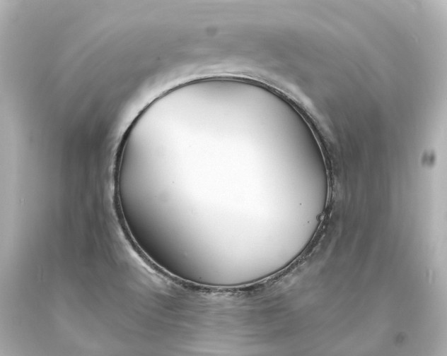 X0000093581512200710291051