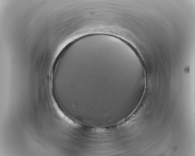 X0000093581515200710291051