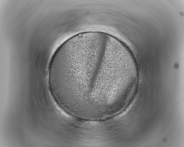 X0000093581517200710291051