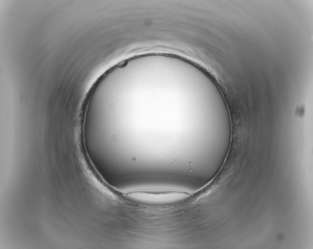 X0000093581518200710291051