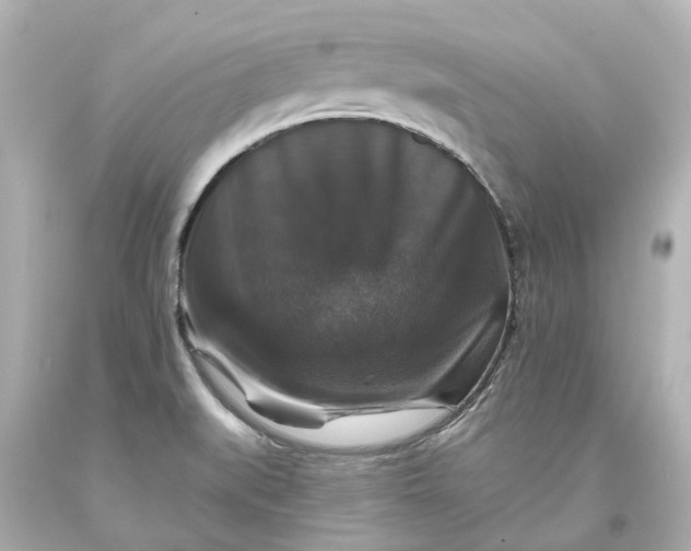 X0000093581519200710291051