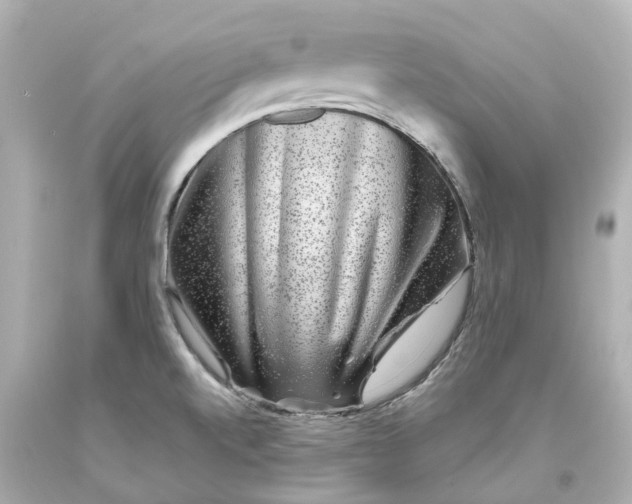 X0000093581520200710291051