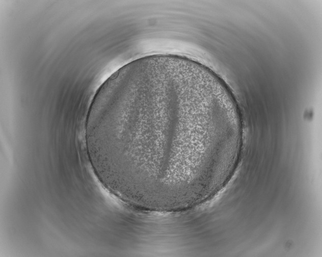 X0000093581521200710291051