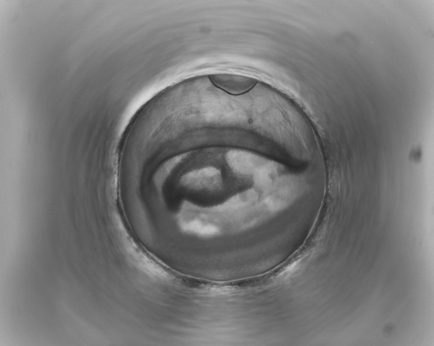 X0000093581522200710291051