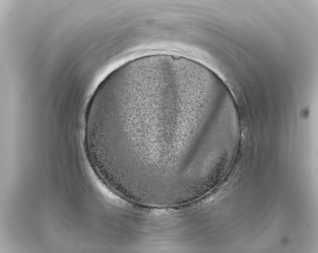 X0000093581523200710291051