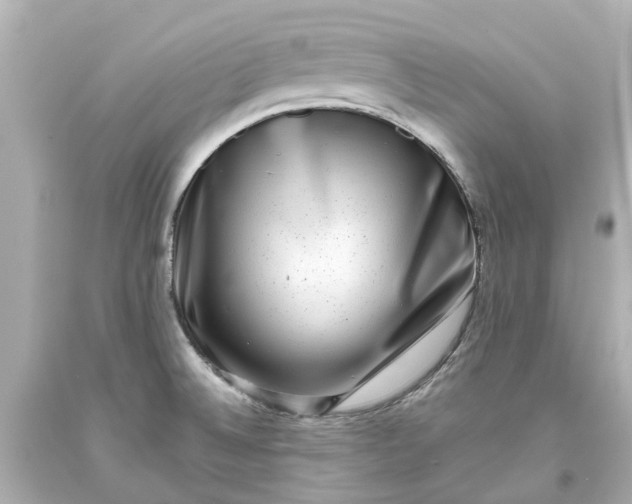 X0000093581524200710291051
