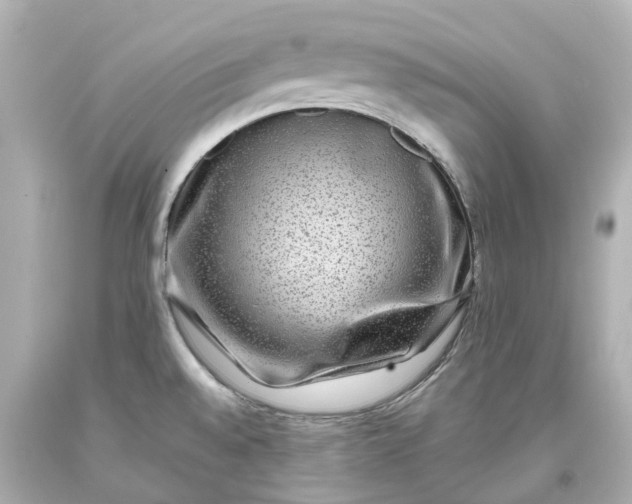 X0000093581528200710291051