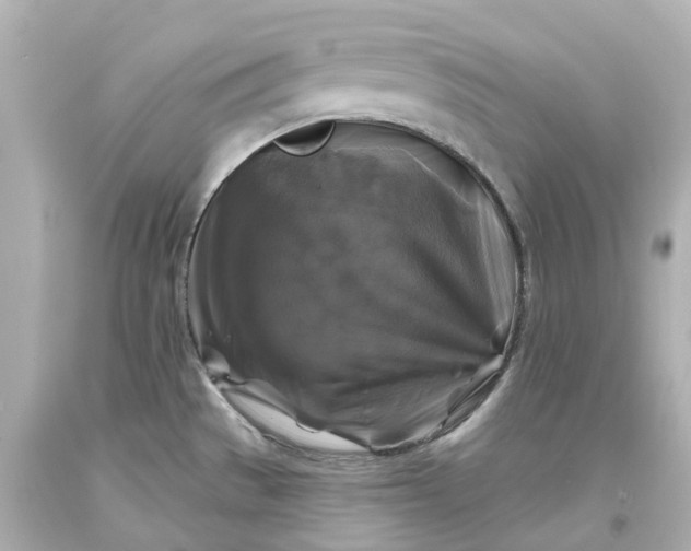 X0000093581529200710291051