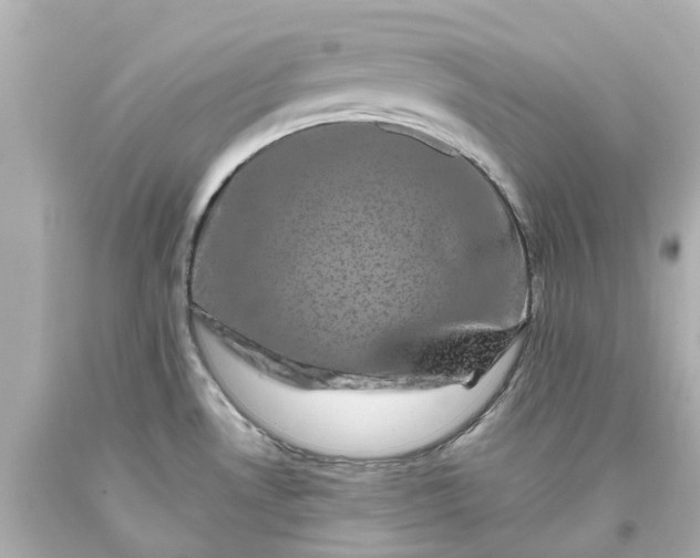 X0000093581530200710291051