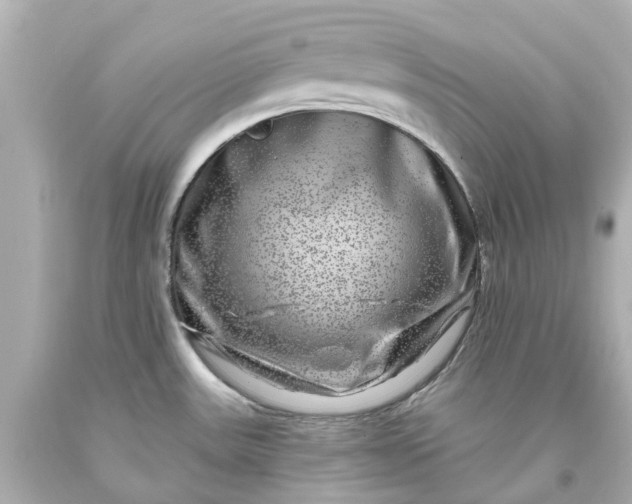 X0000093581531200710291051