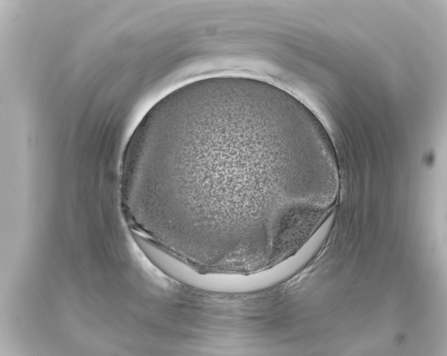 X0000093581532200710291051