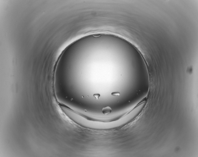 X0000093581534200710291051