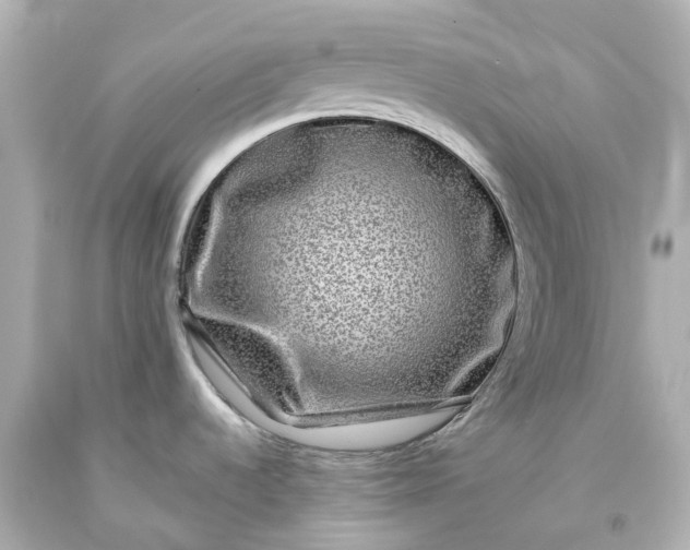 X0000093581536200710291051