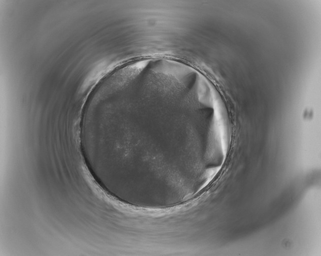 X0000093580002200711051127