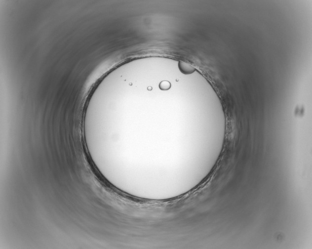 X0000093580004200711051127