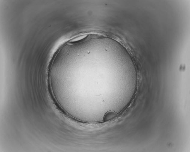 X0000093580006200711051127