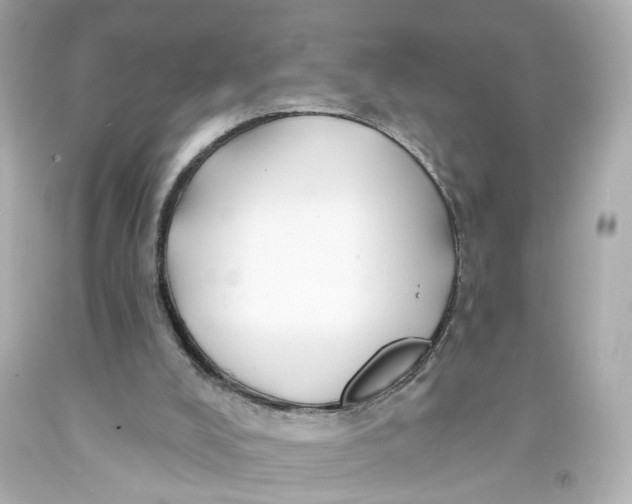 X0000093580008200711051127