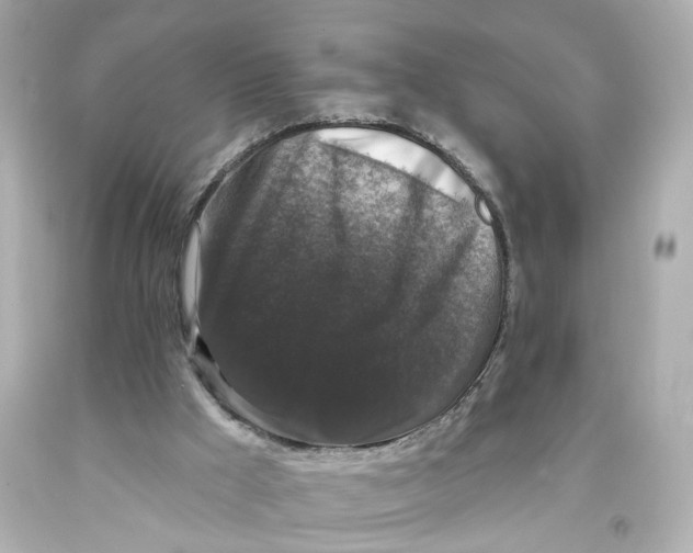 X0000093580009200711051127