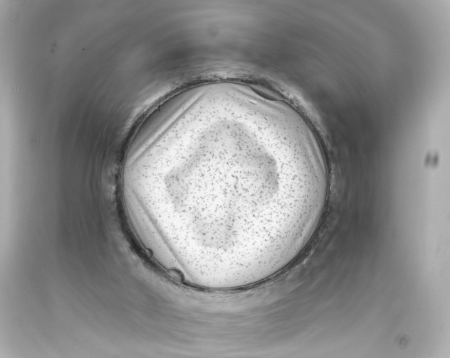 X0000093580010200711051127