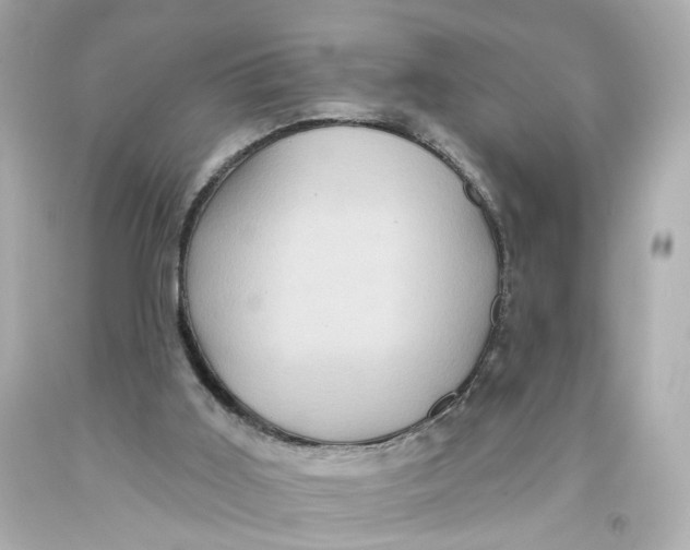 X0000093580011200711051127