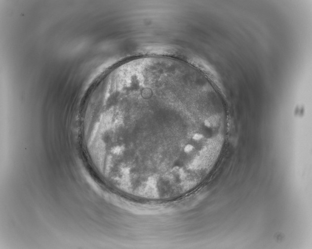 X0000093580012200711051127