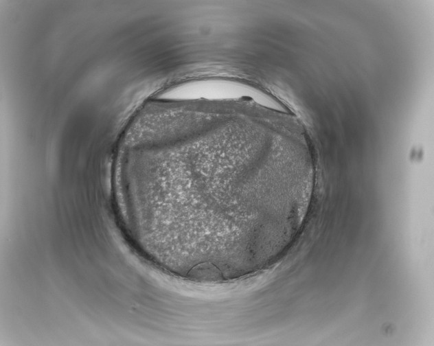 X0000093580014200711051127