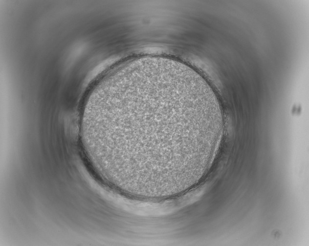 X0000093580016200711051127