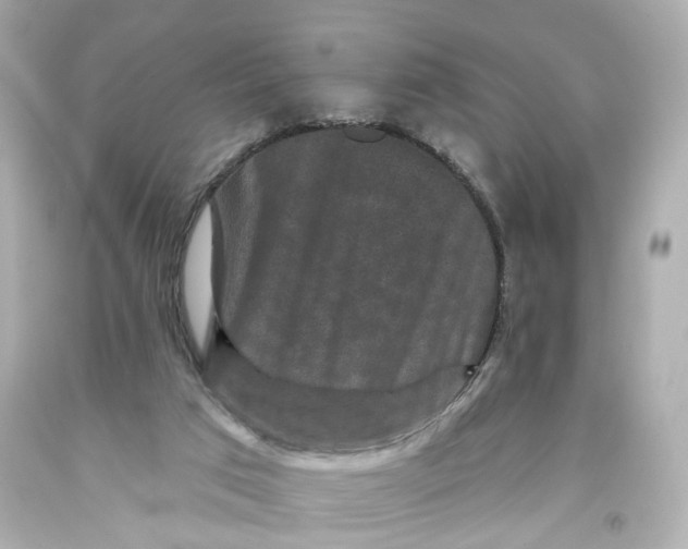 X0000093580017200711051127