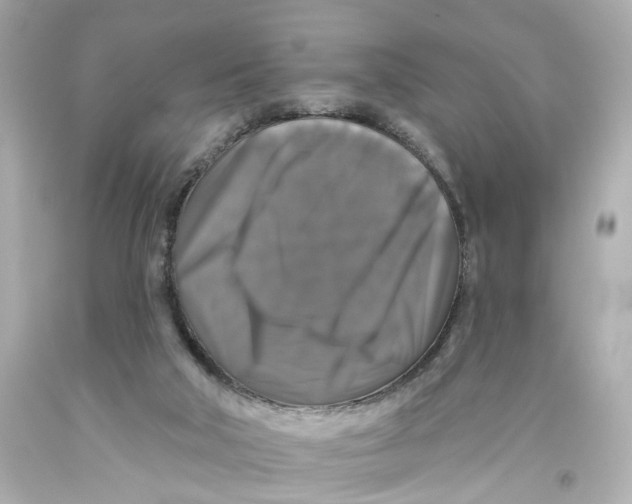 X0000093580018200711051127