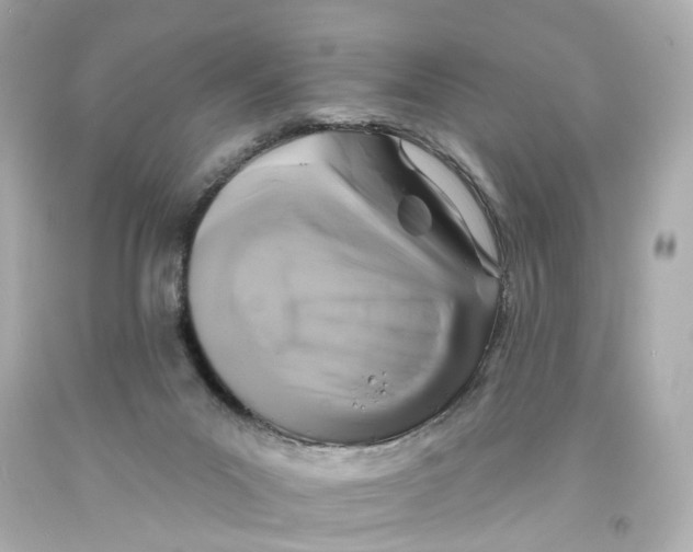 X0000093580023200711051127