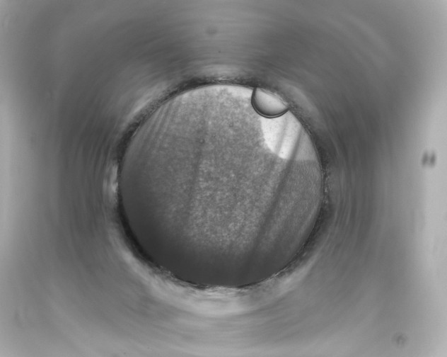 X0000093580024200711051127