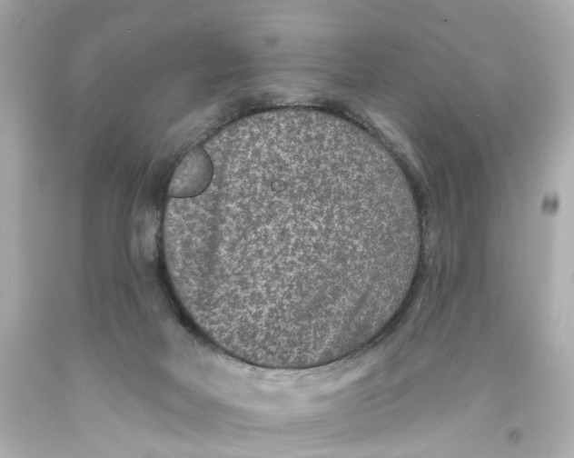 X0000093580026200711051127