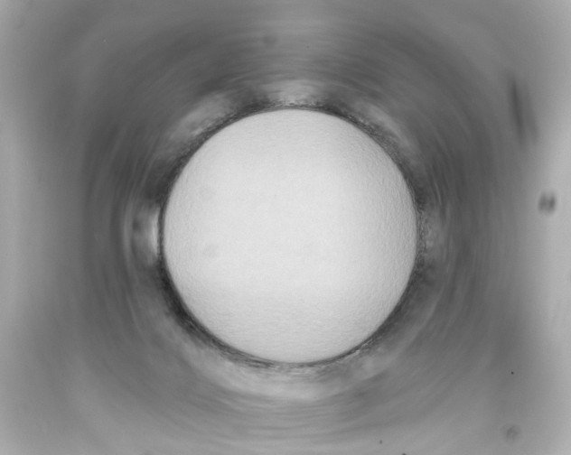 X0000093580028200711051127