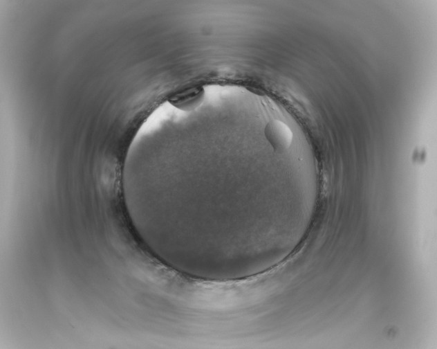 X0000093580029200711051127