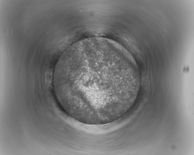 X0000093580030200711051127