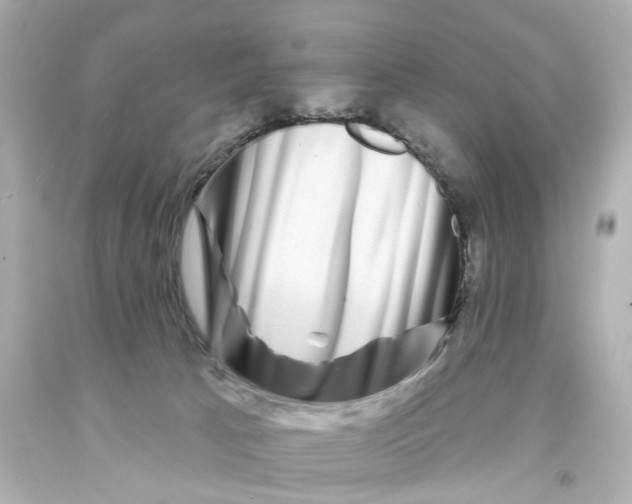 X0000093580033200711051127