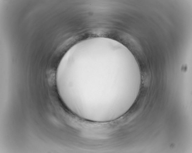 X0000093580036200711051127