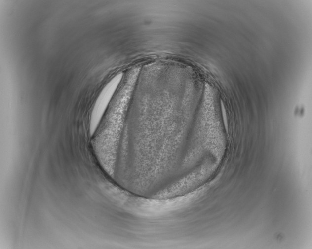 X0000093580037200711051127