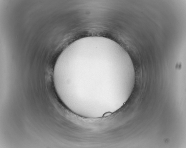 X0000093580038200711051126