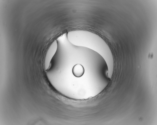 X0000093580039200711051126